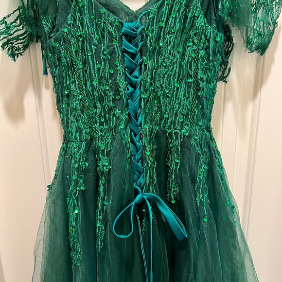 Halloween Costume Dress (new without tags) size S/4. - Picture 5 of 6